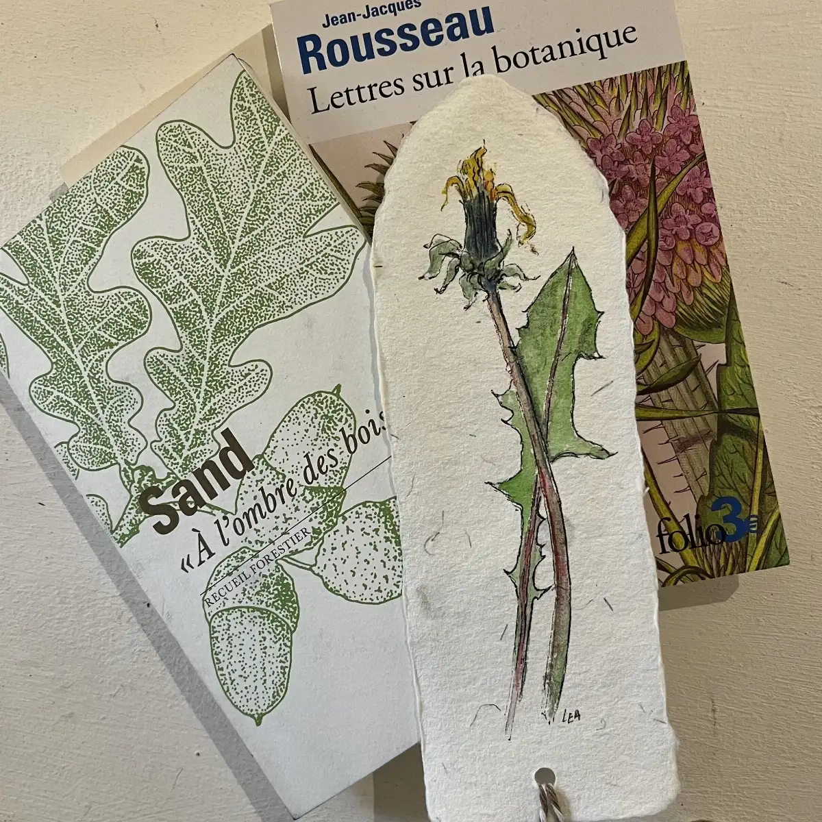 Marques - page " Pissenlits "