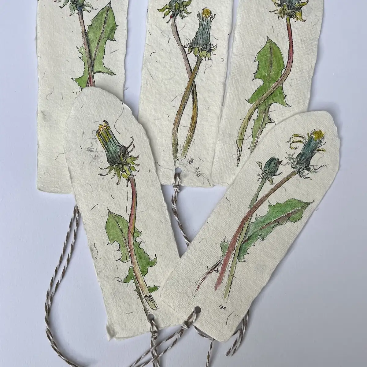 Marques - page " Pissenlits "