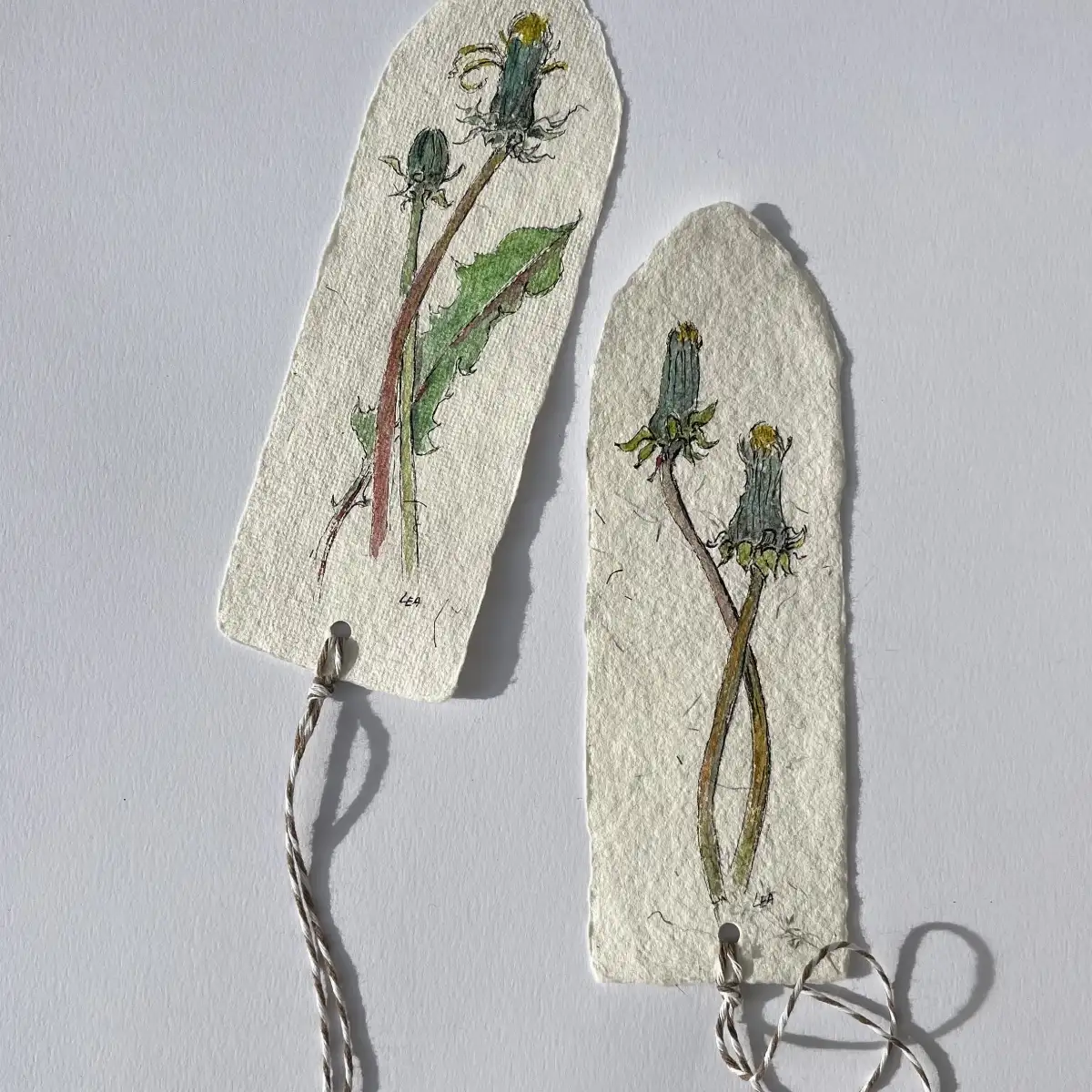 Marques - page " Pissenlits "