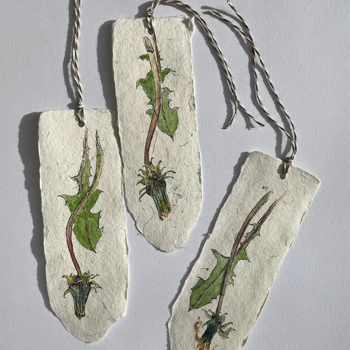 Marques - page " Pissenlits "