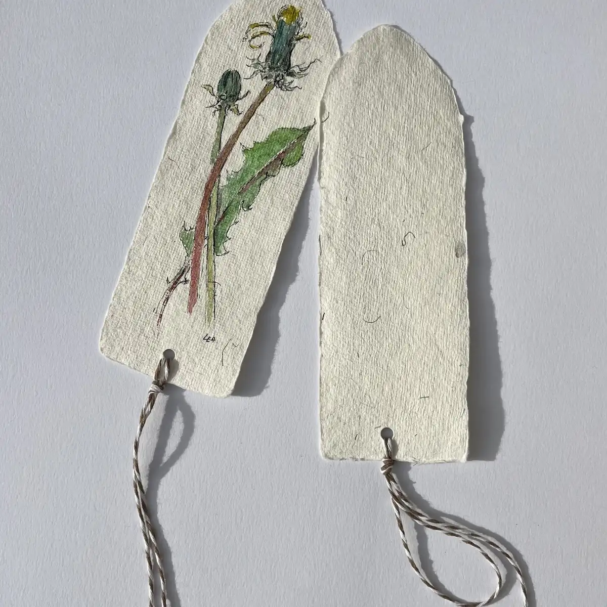 Marques - page " Pissenlits "